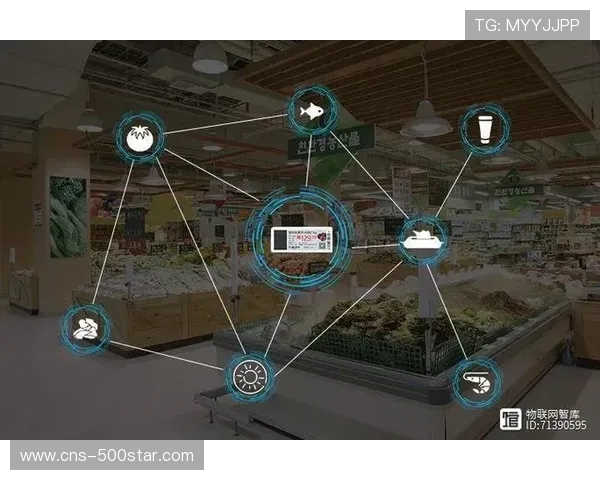 电子价签与智能零售技术提升卖品销售效率